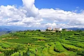 咱弥渡“最美九道弯”你知道在哪吗？图片