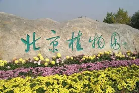 赵朴初两游“南园”｜张瑞田图片