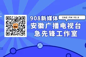 刚刚通报！安徽一市公安局原副局长主动投案图片