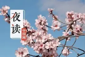 夜读 | 与人交谈时，少说这“三件事”，福气会越来越多图片