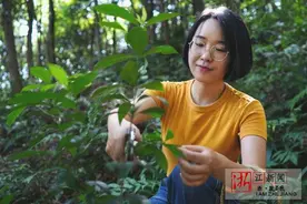 圈粉无数！90后杭州女孩用一草一木制作出童话般的植物手作图片