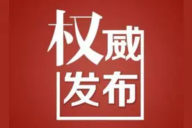 涉嫌严重违纪违法！攀钢集团有限公司专项工作管理委员会委员杜晓林被查图片