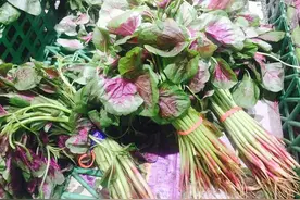 春季预防过敏，少吃野菜、海鲜、芒果、菠萝图片