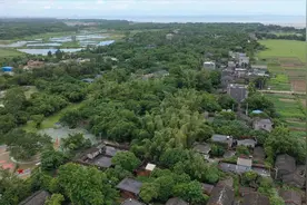 广西防城港：昔日贫困渔村打造“滨海田园”视频封面