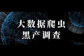 大数据爬虫黑产调查：数百元网购数据采集器，各行业信息订制可查图片