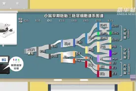我国科学家成功绘制高精度“细胞繁衍家谱图”视频封面