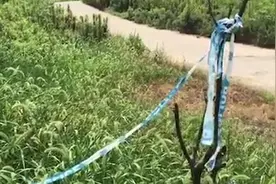 南京脑瘫女童溺亡案一审：父亲爷爷均获刑视频封面