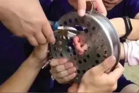 你在抖音“卡点”，熊孩子在这“卡孔”“卡洞”“卡缝”···卡到停不下来！图片