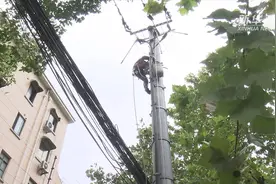 上海：“利奇马”造成高压线跳闸 供电人员全力抢修保安全视频封面