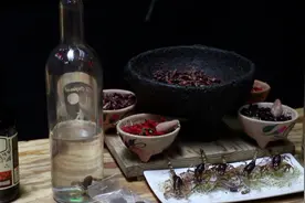 重口味昆虫料理 你敢尝试吗？视频封面