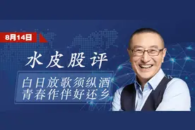 水皮：「谈股论金」白日放歌须纵酒，青春作伴好还乡图片