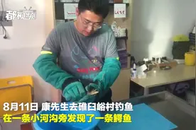 吓人！北京鱼友意外“钓”到鳄鱼，疑似遭人放生遗弃视频封面