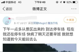 漫山花溪谷景区上万游客大堵车！原因是……图片