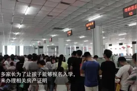 入学报名在即 菏泽家长扎堆办理不动产查询证明视频封面