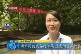 文明养犬要牵狗绳！这个宣传标语有点意思，看一眼就忘不了！视频封面