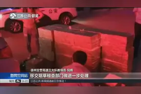 司机车内暗藏779条香烟，欲运回家卖，徐州民警服务区内将其截获视频封面
