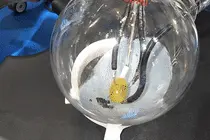 牛！国产腔镜手术机器人给葡萄“缝针”视频封面