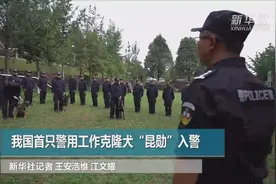 我国首只警用工作克隆犬“昆勋”入警视频封面