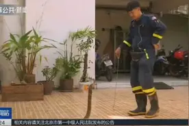 泰国一居民家爬进5米长大蛇，消防员徒手抓蛇，一把将其拽下房梁视频封面