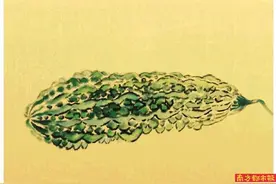 君子菜图片