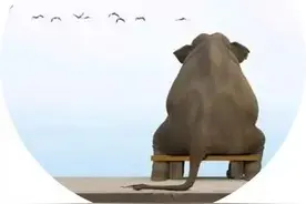 文字情人 | 我吹过你吹过的风，我踏过你踏过的路，这算不算相拥，这算不算重逢图片