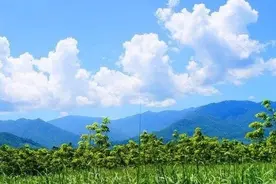 美丽中国先锋榜（11）｜广东汕头市贵屿镇“散乱污”综合整治实践图片