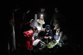 人与自然｜奉贤夜观：萤火虫和它的邻居们视频封面