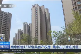 南京新增1378套共有产权房，集中在丁家庄片区，均为现房毛坯交付视频封面