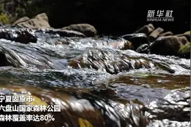 听！六盘山间溪水声视频封面