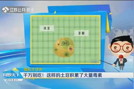 千万别吃！这样的土豆积累了大量毒素视频封面