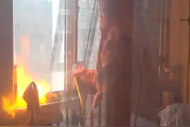 密恐慎入！蜜蜂大军突袭住户厨房，消防小哥2分钟火攻将其全灭视频封面