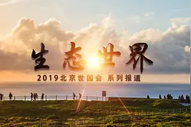 绿色生态肯尼亚欢迎您视频封面