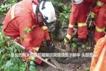 海南：蟒蛇身缠编织网被困林中视频封面