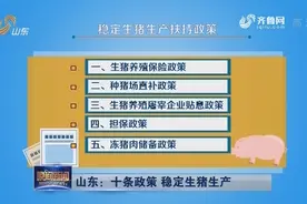 山东：十条政策 稳定生猪生产视频封面