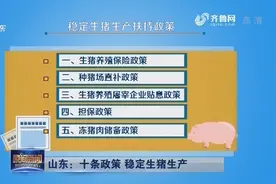 山东：十条政策 稳定生猪生产视频封面