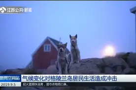 气候变化对格陵兰岛居民生活造成冲击，小镇居民人数骤减！视频封面