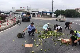 货车转弯橘子散落一地  警民帮忙拾捡感动司机图片