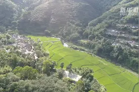 搬出穷山窝 敲开幸福门视频封面