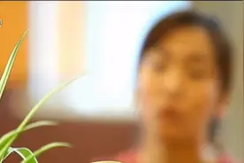 内蒙古破获特大跨境销售假药案，涉案金额近2亿元，涉及32个省份视频封面