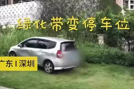 傻眼了！小车停绿化带3小时被罚3千视频封面