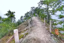木王森林寻龙传说 终南山寨惊险体验图片