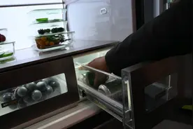 IFA2019｜5分钟冰好啤酒的冰箱视频封面