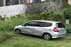 停车3小时被罚3230元！男子车停草坪被逮正着：以为不会被发现视频封面