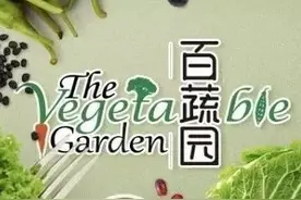 世园会·百蔬园丨百种时令蔬菜 —— 海鲜菇（八十一）图片