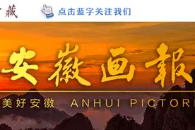 重磅 |《魅力蜀山 首创之区》画册首发图片