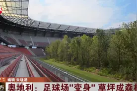 奥地利：足球场“变身”  草坪成森林视频封面