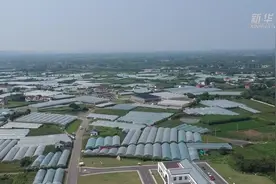航拍万亩乡村果园，给初秋添点“甜”视频封面