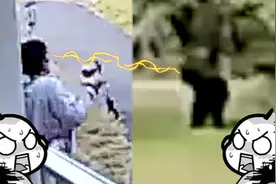 女子出家门与黑熊对视疯狂尖叫！双方吓到一同跳起转身奔逃图片