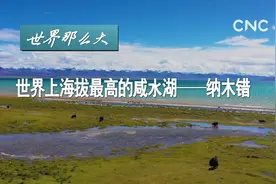 世界那么大|世界上海拔最高的咸水湖—纳木错视频封面
