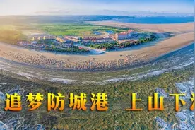 【防城港】金花茶应该有多金贵图片